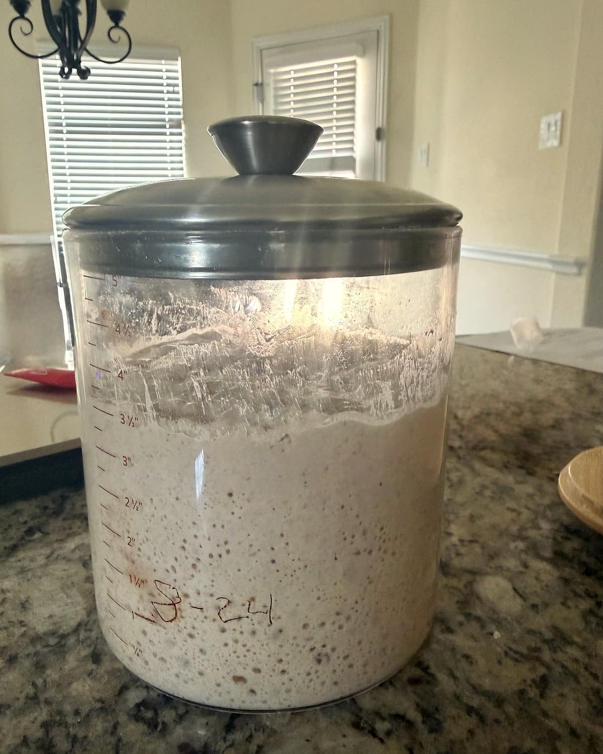 Glass jar of active sourdough starter bubbling on a kitchen counter, with the feeding date written on the glass.